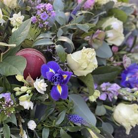 fwthumbIMG_2339 cricket ball.jpg